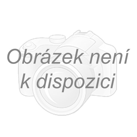 Vzduchová rozbočka se 2 rychlospojkami Scheppach